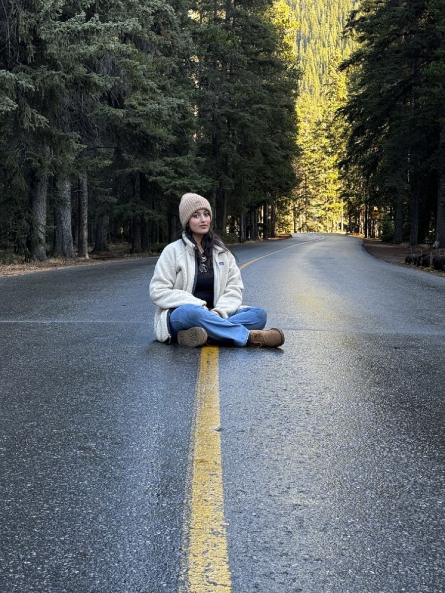 Sitting in the middle of a road in Banff National Park